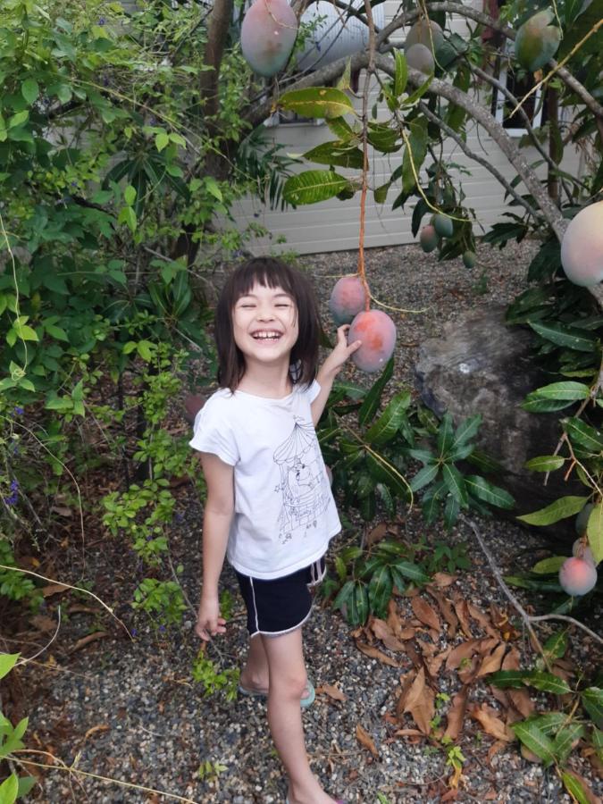 بيت شباب جيكوس باكباكرز كيرنز المظهر الخارجي الصورة A girl with Down syndrome