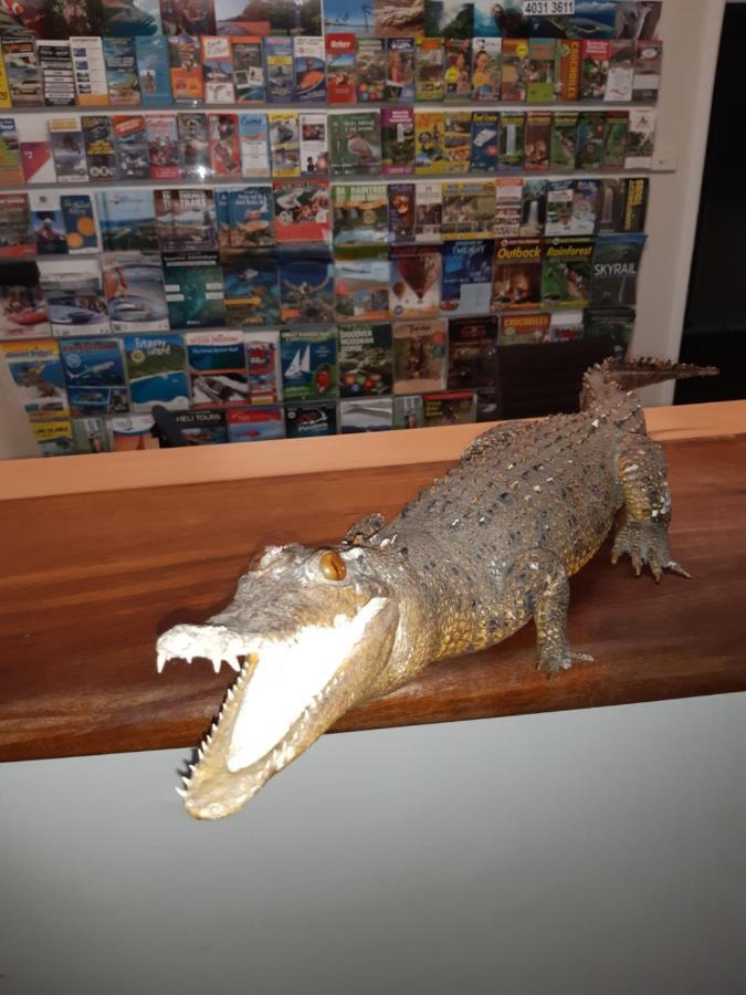 بيت شباب جيكوس باكباكرز كيرنز المظهر الخارجي الصورة A model of a saltwater crocodile
