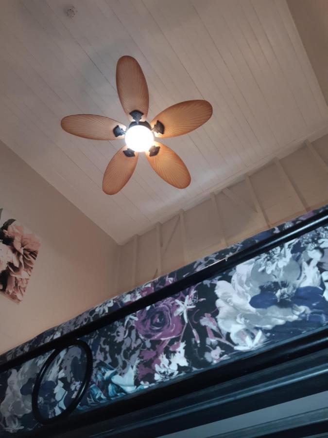 بيت شباب جيكوس باكباكرز كيرنز المظهر الخارجي الصورة A ceiling fan with a light kit