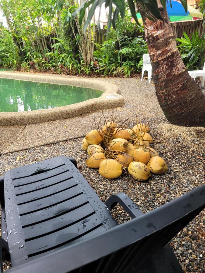 بيت شباب جيكوس باكباكرز كيرنز المظهر الخارجي الصورة Coconuts at a pool in Fiji