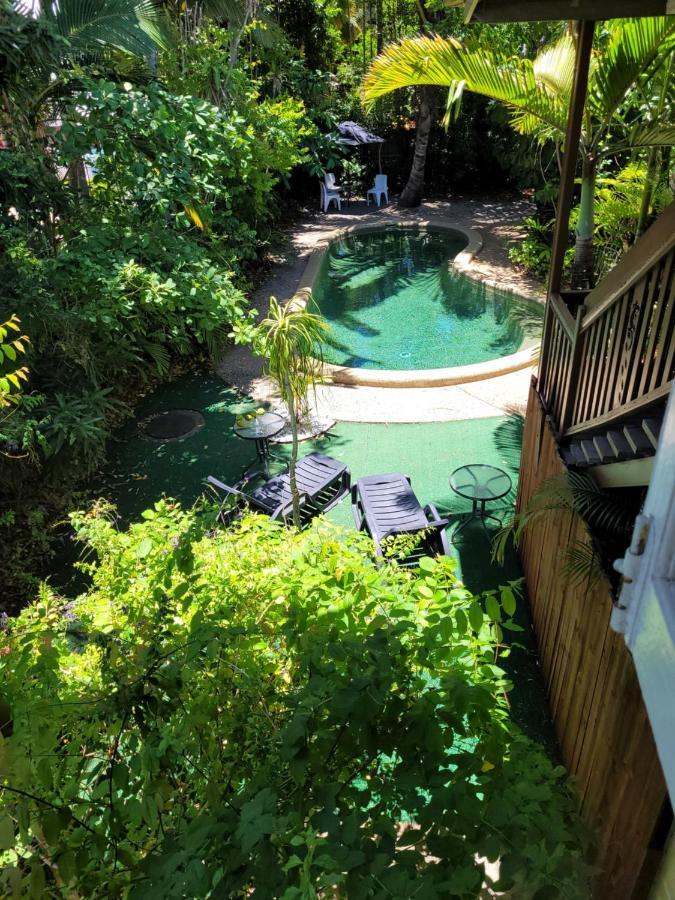 بيت شباب جيكوس باكباكرز كيرنز المظهر الخارجي الصورة The pool at the hotel