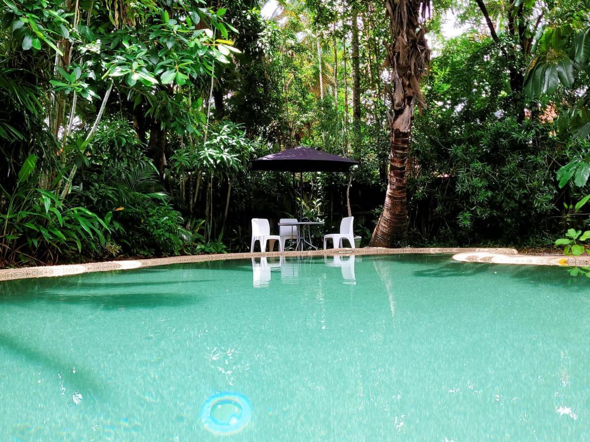 بيت شباب جيكوس باكباكرز كيرنز المظهر الخارجي الصورة The swimming pool at the Rainforest Ecolodge