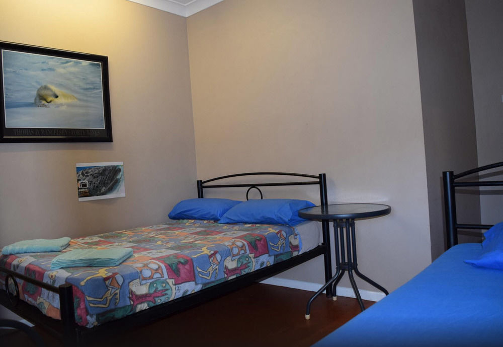 بيت شباب جيكوس باكباكرز كيرنز المظهر الخارجي الصورة A room at the hostel
