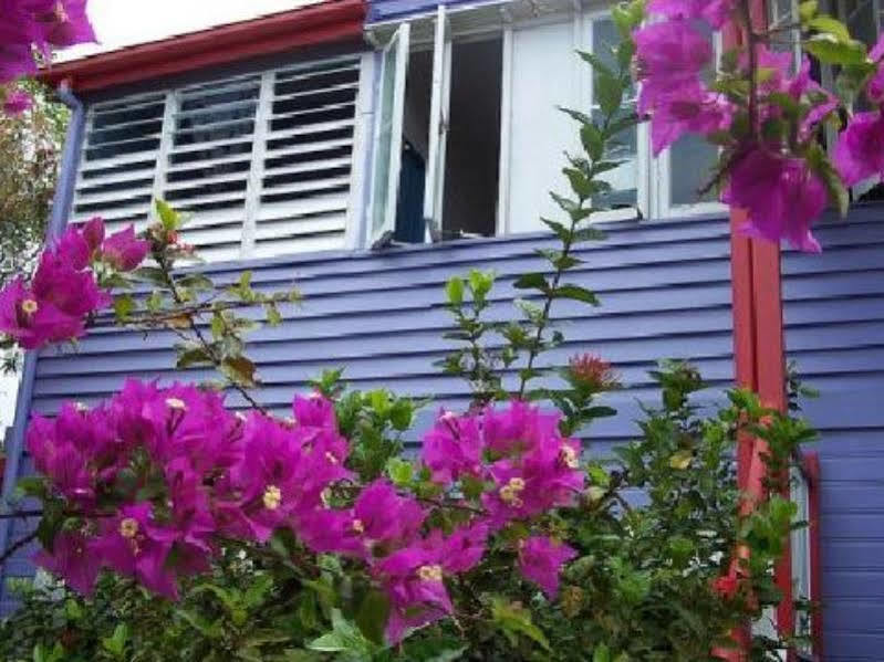 بيت شباب جيكوس باكباكرز كيرنز المظهر الخارجي الصورة Bougainvillea